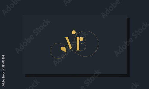 Minimal royal initial letters VB logo