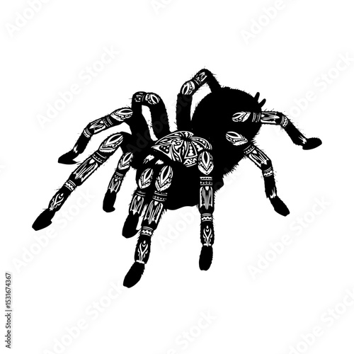 Ornamental Tarantula Silhouette