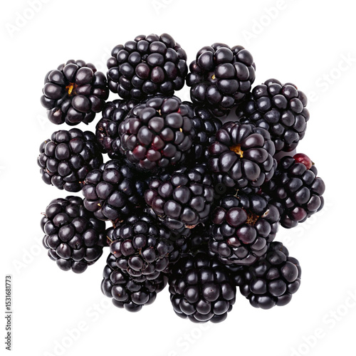 Blackberry collection isolated, and a set of blackberries, Fresh grapes isolated