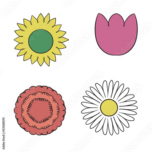 Set of flowers in cartoon illustration style of sunflower, daisy, carnation and tulip. Isolated on transparent background.