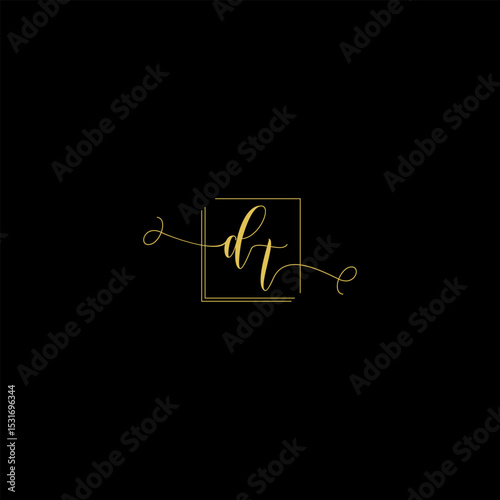 Luxury Letter dt Monogram in Gold Line Style