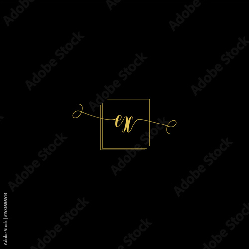 Luxury Letter ex Monogram in Gold Line Style