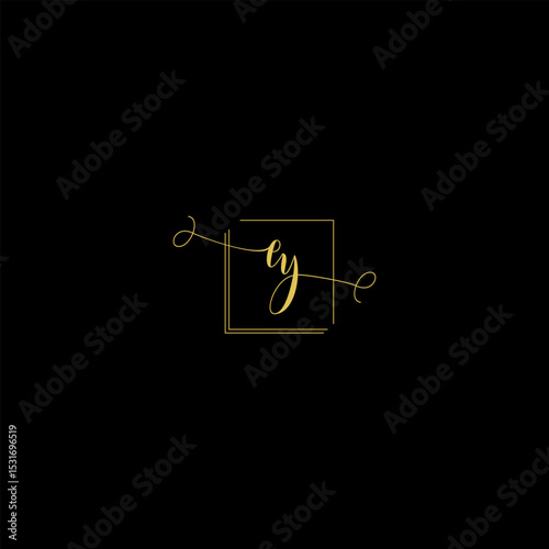 Luxury Letter ey Monogram in Gold Line Style
