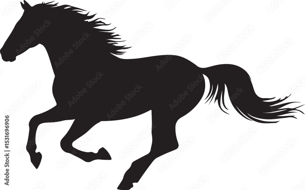 Obraz premium horse silhouette vector