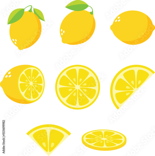 set of citrus lemons fruit elements collection design illustration 