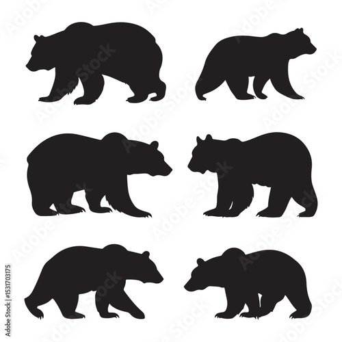 Bear silhouette vector set, grizzly bear, polar bear, black bear, animal vector, wildlife illustration