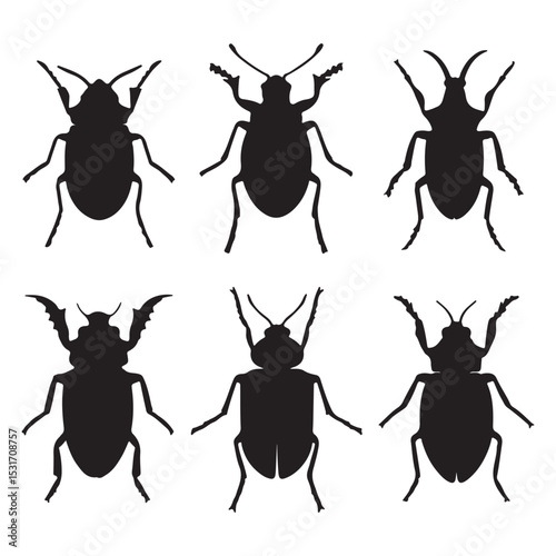 Black beetle silhouette vector illustration set insect bug collection isolated on white background graphic design