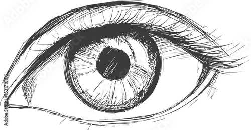 Sketch of a human eye in monochrome with detailed lines and shading, concept art. Vector illustration