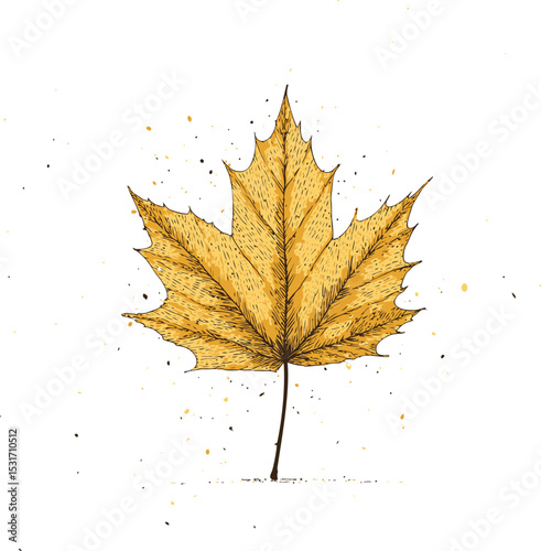 Illustration of a yellow maple leaf with scattered spots. Vector illustration in sketch style