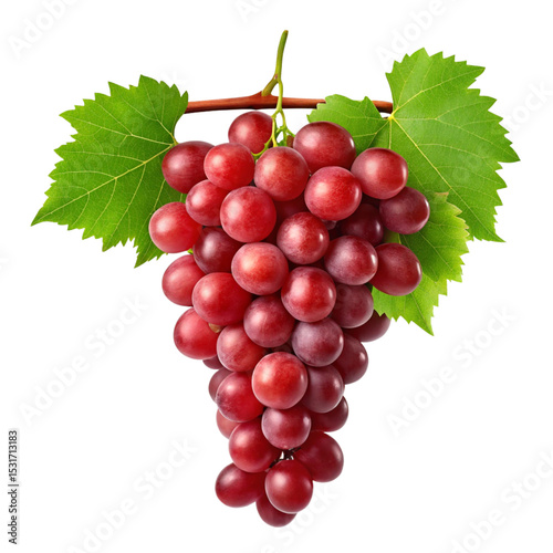 Red grapes tree branch isolated, Grapes branch, Set of grapes with leaves isolated