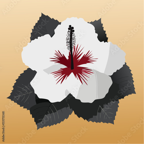 A beautiful vector illustration of a white hibiscus flower with dark red center, surrounded by grey leaves, against a warm gradient background.
