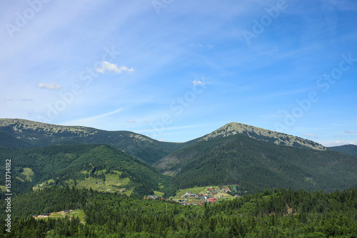 Mountain landscape with for...