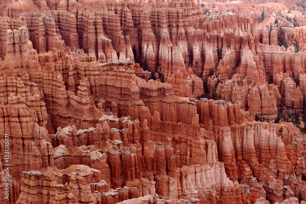 Fototapeta premium bryce canyon national park landscape