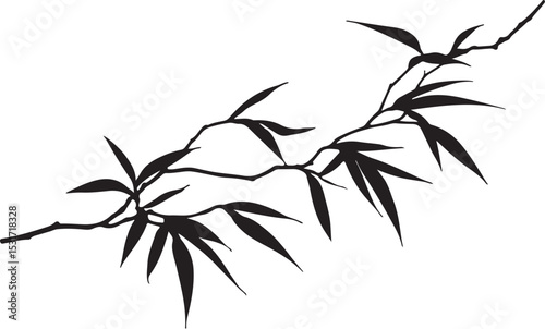 bamboo on white background