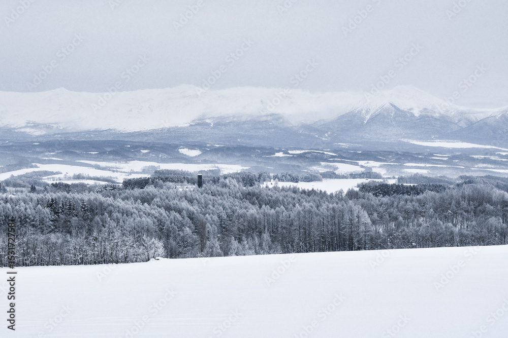 Fototapeta premium 北海道 富良野 冬