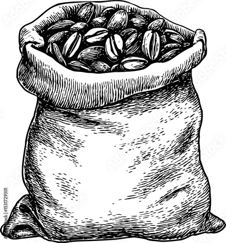 Hand-drawn illustration of a burlap sack filled with coffee beans. Vector illustration