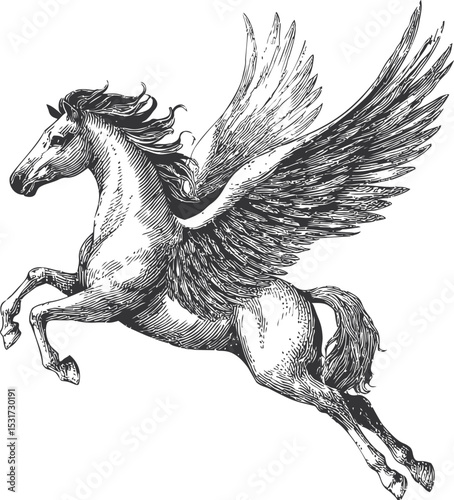 Black and white illustration of a winged horse in flight, mythical creature sketch. Vector illustration
