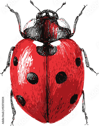 Colorful illustration of a red ladybug with black spots and detailed texture. Vector illustration