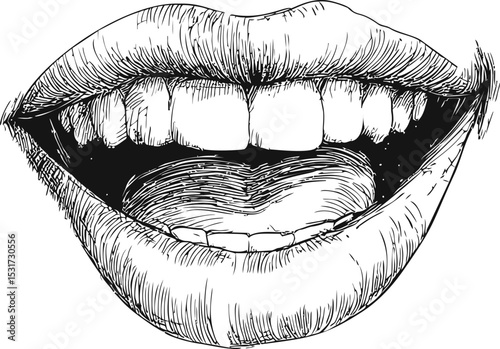 Detailed black and white line art of smiling lips and teeth, hand-drawn. Vector illustration