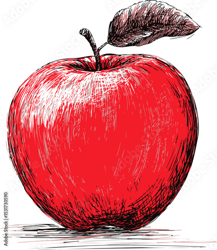 Detailed sketch of a vibrant red apple with a leaf in artistic style. Vector illustration