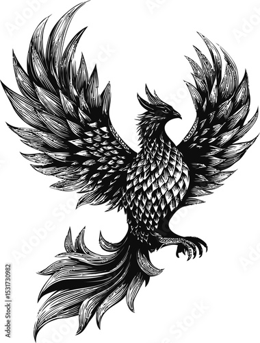 Intricate black and white phoenix illustration with detailed feathers, mythical theme. Vector illustration