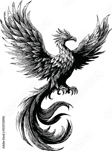 Stylized black and white phoenix with detailed feathers in sketch style. Vector illustration