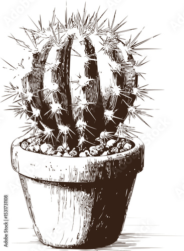 Black and white illustration of a spiky cactus in a clay pot sketch. Vector illustration