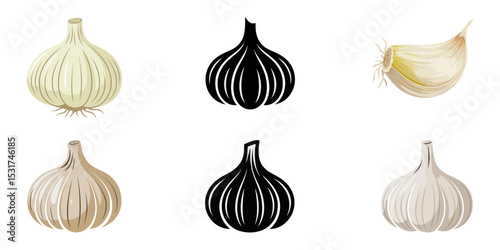 garlic bulbs and cloves black ink vintage sketch, Watercolor Garlic, Fresh Herbs: Garlic, Sage And Parsley, Elephant garlic vegetables flat design cartoon illustration, Set of garlic engraving design 