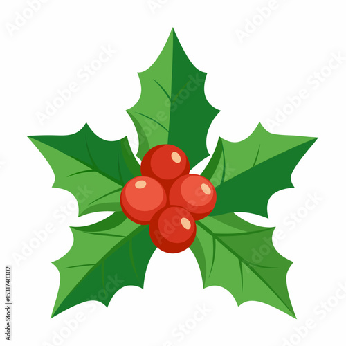 Festive Holly Berry Illustration for Christmas and Winter Holiday Season Featuring Green Leaves and Red Berries on a White Background Simple and Clean Design