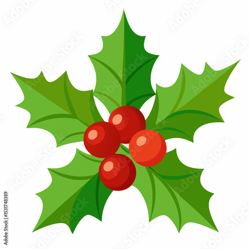 Festive Holly Berry Illustration with Four Red Berries and Green Leaves for Christmas and Holiday Season Design Projects and Greeting Cards on White Background