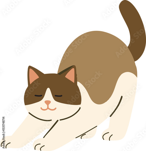 렉돌고양이