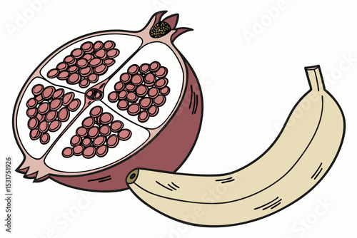 Halved pomegranate and banana illustration