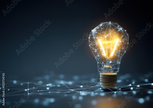 Illuminated light bulb with a digital network design.