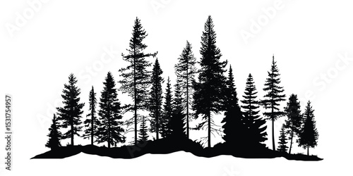 Silhouette of a forest, isolated on white background, vector illustration