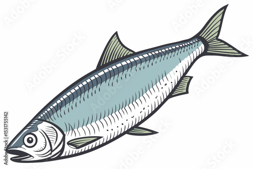 Detailed illustration of a herring fish