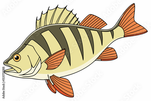 Cartoon illustration of a perch fish