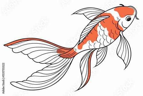 Elegant orange and white koi fish illustration