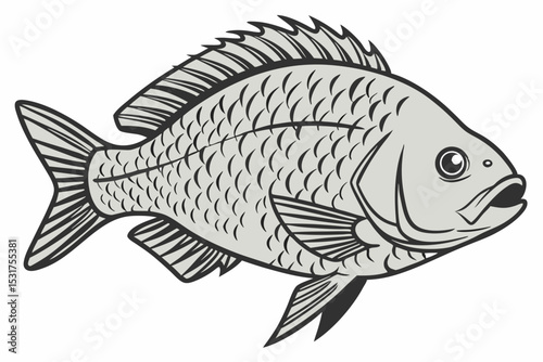 Detailed illustration of a gray fish