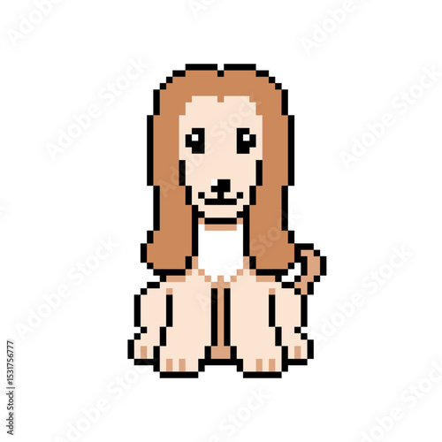 Pixel art cute afghan hound dog vector in retro style