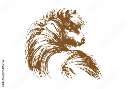 Shetland pony hand drawn sketch vector illustration