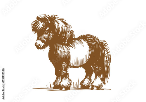 Shetland pony hand drawn sketch vector illustration