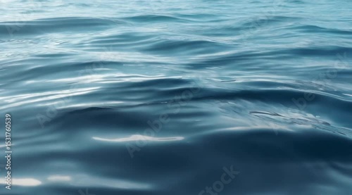 Tranquil blue water rippling gently under the soft afternoon light