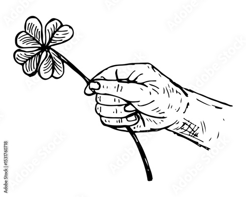 Hand holding a lucky four-leaf clover, representing fortune, hope, and wishes.