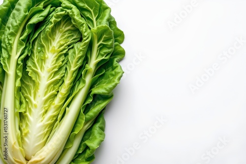 fresh napa cabbage arranged neatly on the left side of the frame, vibrant green leaves glistening with water droplets, ample copy space on the right for text or graphics.