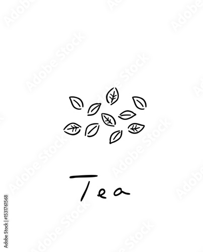 お茶・茶葉_手書きイラスト_線画｜Tea and Tea Leaves_Hand-drawn Illustration_Line Art