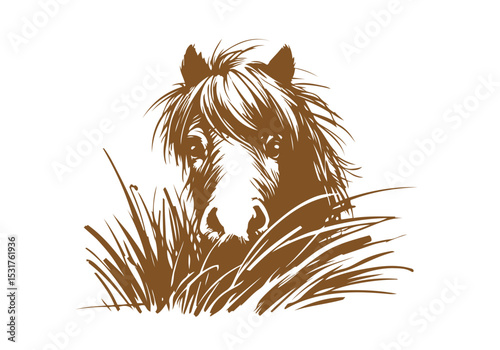 Shetland pony hand drawn sketch vector illustration