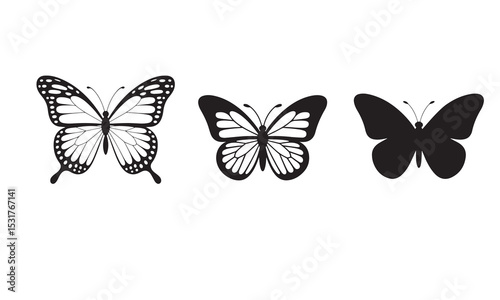 Butterfly on white background