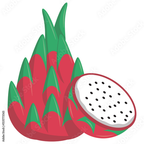 Dragon Fruit Flat Illustration