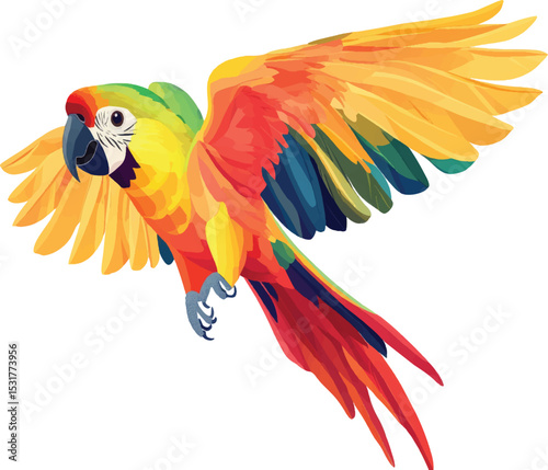  Macaw Parrot, vector illustration