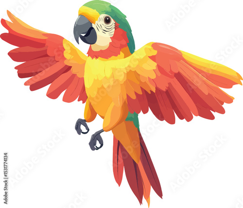  Macaw Parrot, vector illustration